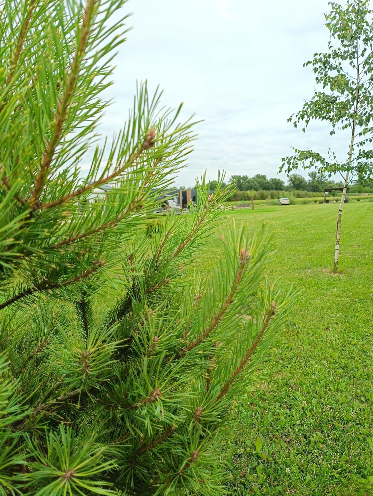 Holiday home Ostoja Gora Kalwaria Zamek Krolowej Bony Caloroczne